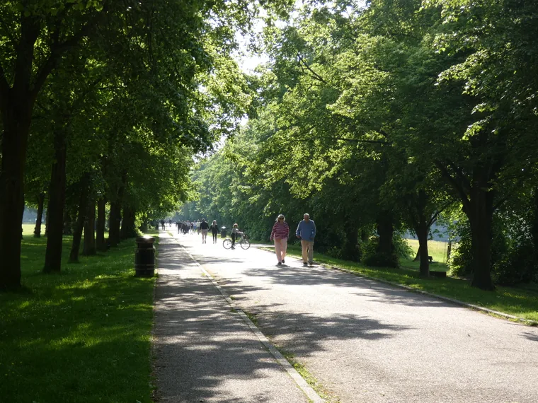 Woodland and open ground in Trent Park, Enfield